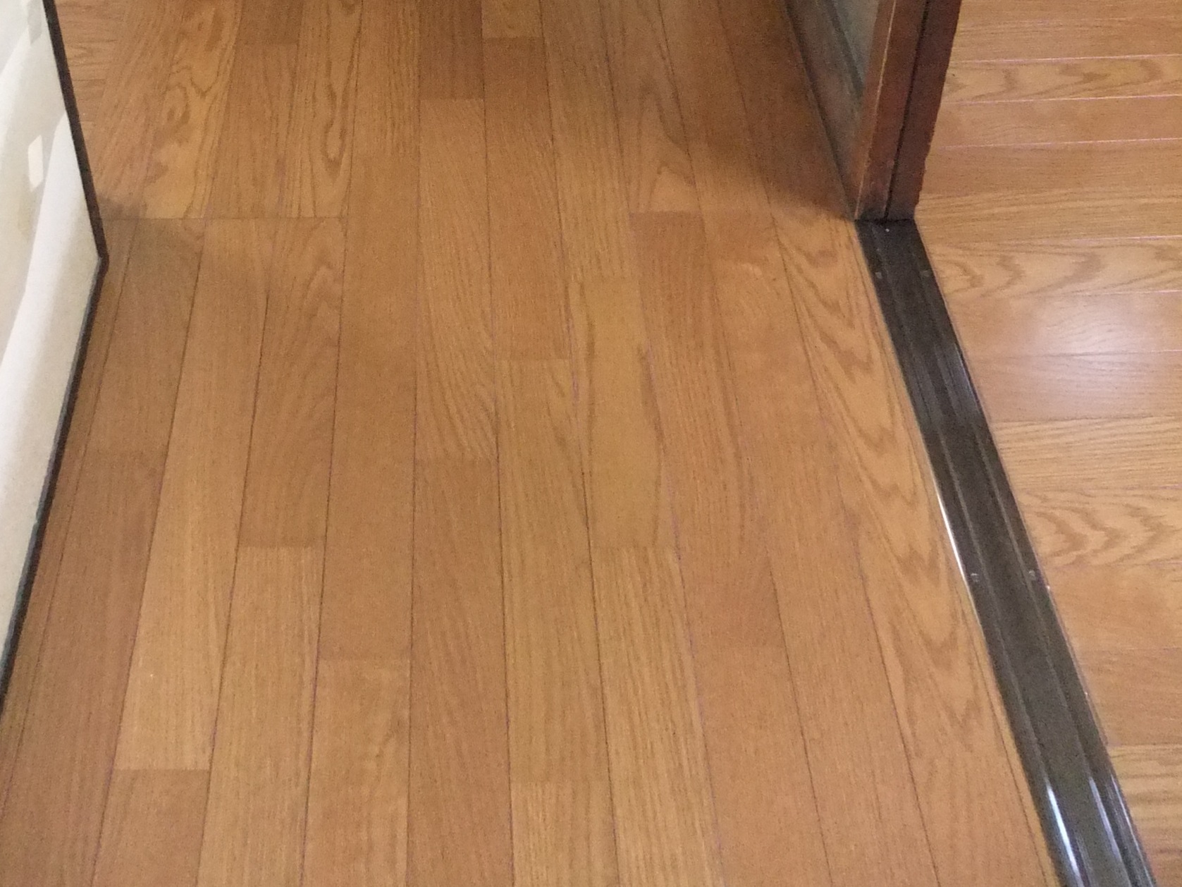 https://www.fco.co.jp/wp/wp-content/uploads/mt/diary/blogimages/DSCF9593tori.JPG