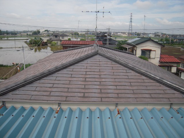 https://www.fco.co.jp/wp/wp-content/uploads/mt/diary/blogimages/DSCN0906.JPG