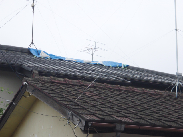 https://www.fco.co.jp/wp/wp-content/uploads/mt/diary/blogimages/P6270672.JPG