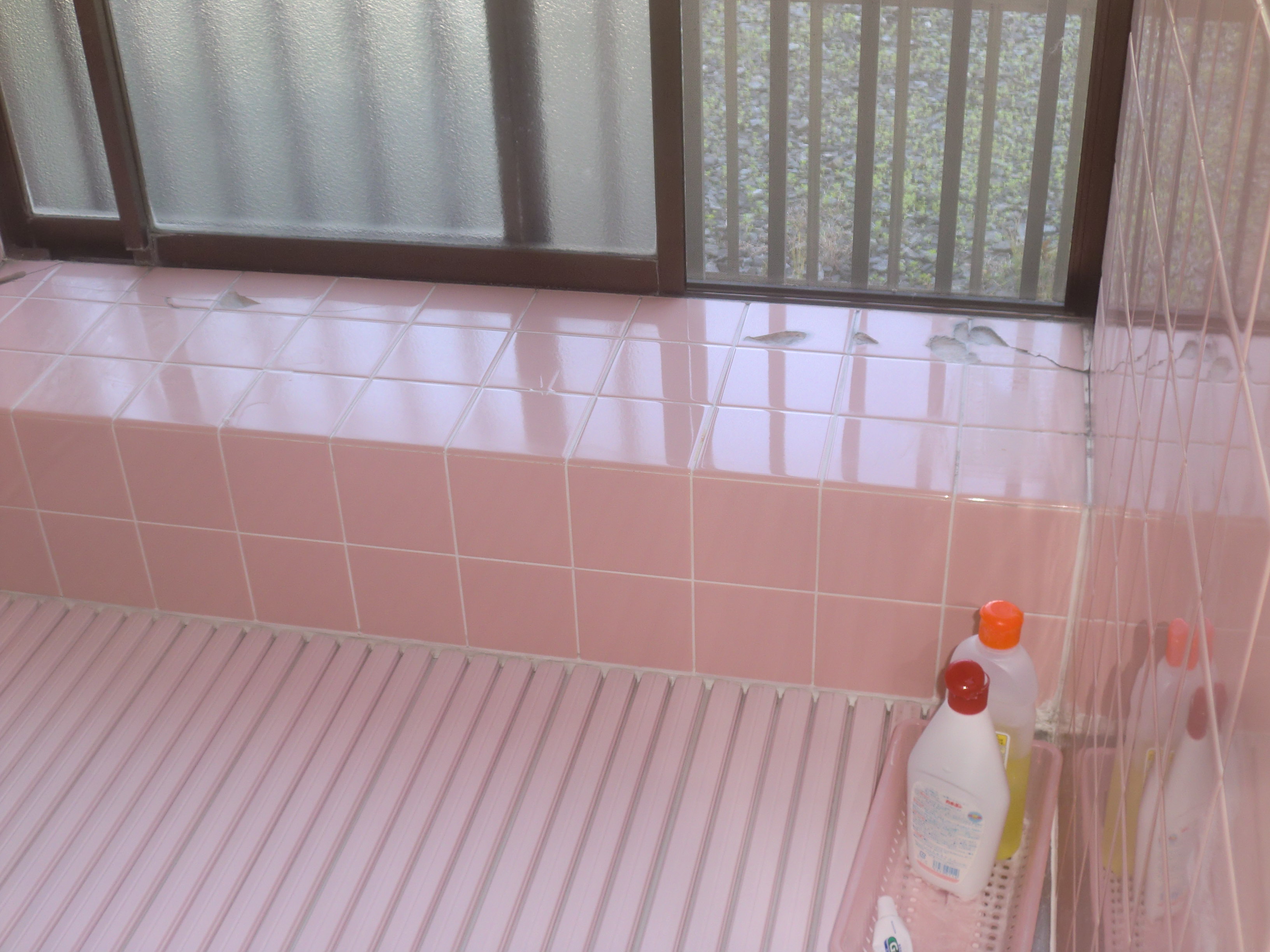 https://www.fco.co.jp/wp/wp-content/uploads/mt/diary/blogimages/yokusitu%20before.JPG