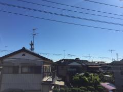 IMG_5045.JPG
