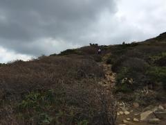 IMG_5167.JPG