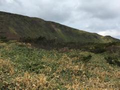 IMG_5189.JPG