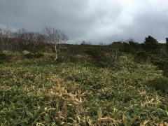 IMG_5190.JPG