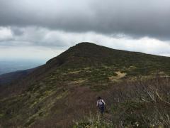IMG_5194.JPG