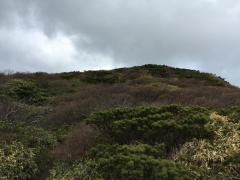 IMG_5196.JPG