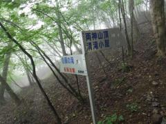 IMG_5598.JPG