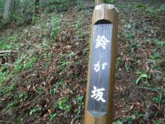 IMG_5608.JPG