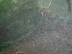 IMG_5613.JPG