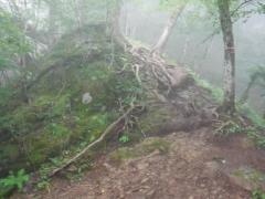 IMG_5614.JPG