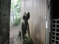 IMG_5622.JPG