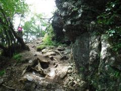 IMG_5625.JPG