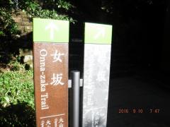 DSCF0306 (1024x768).jpg