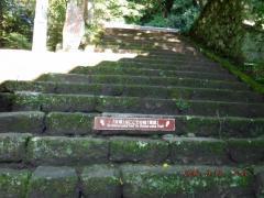 DSCF0307 (1024x768).jpg