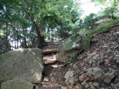 DSCF0339 (1024x768).jpg