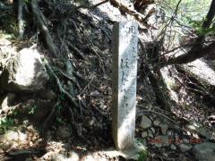 DSCF0355 (1024x768).jpg