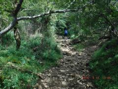 DSCF0386 (1024x768).jpg