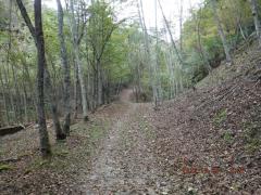 DSCF0450.JPG
