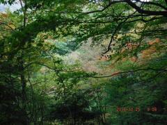 DSCF0457.JPG