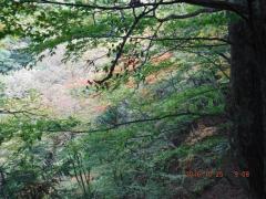 DSCF0458.JPG