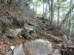 DSCF0462.JPG