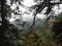 DSCF0477.JPG