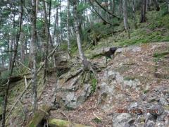 DSCF0480.JPG