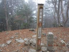 DSCF0481.JPG