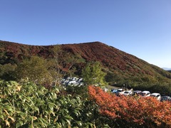 IMG_7887.JPG
