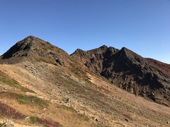 IMG_7911.JPG