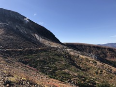 IMG_7920.JPG