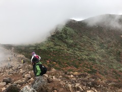 IMG_7941.JPG