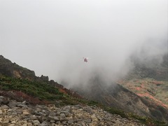 IMG_7943.JPG