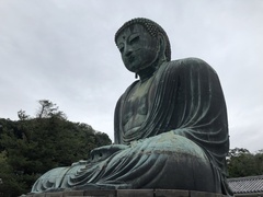 IMG_9860.JPG