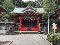 IMG_9876.JPG