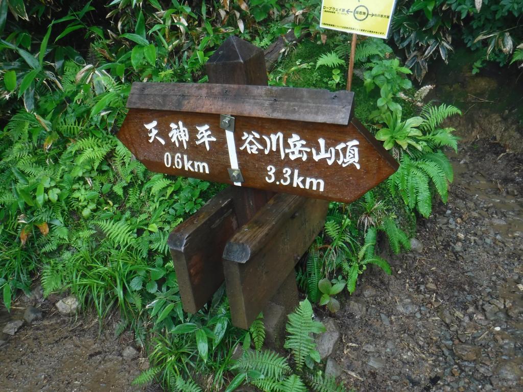 https://www.fco.co.jp/wp/wp-content/uploads/mt/president/blog_images/DSCF0014.JPG