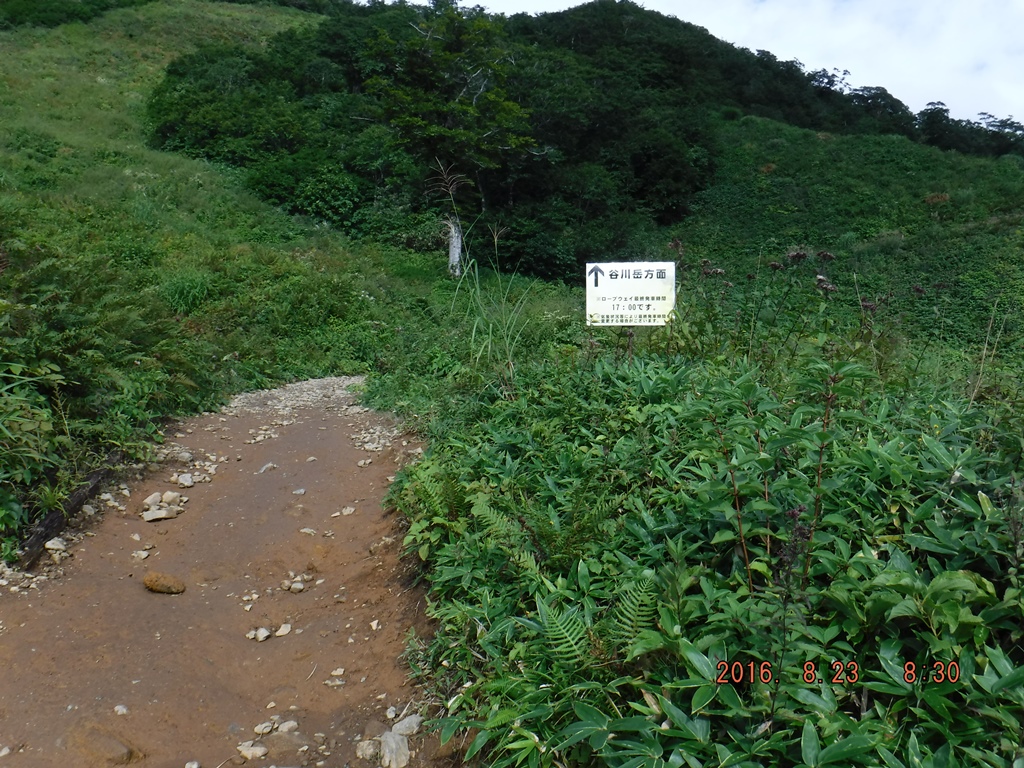 https://www.fco.co.jp/wp/wp-content/uploads/mt/president/blog_images/DSCF0143.JPG