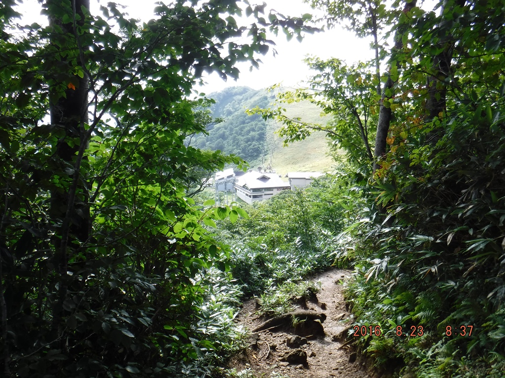 https://www.fco.co.jp/wp/wp-content/uploads/mt/president/blog_images/DSCF0148.JPG