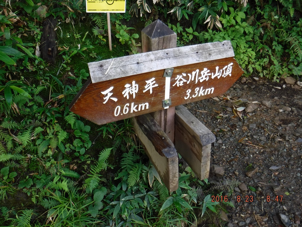 https://www.fco.co.jp/wp/wp-content/uploads/mt/president/blog_images/DSCF0161.JPG