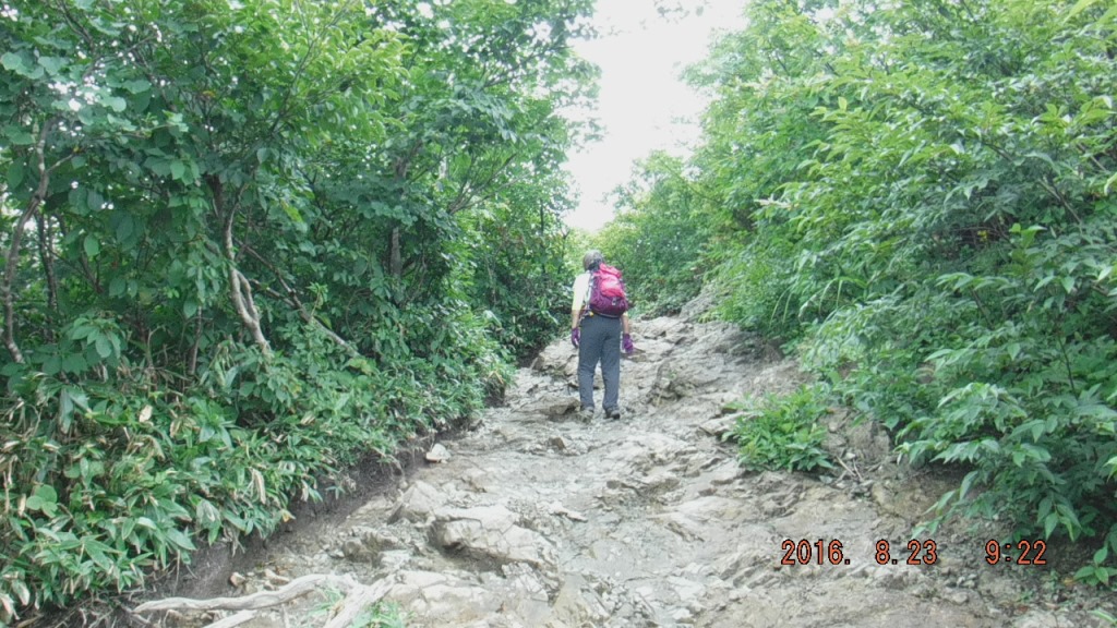 https://www.fco.co.jp/wp/wp-content/uploads/mt/president/blog_images/DSCF0195.JPG