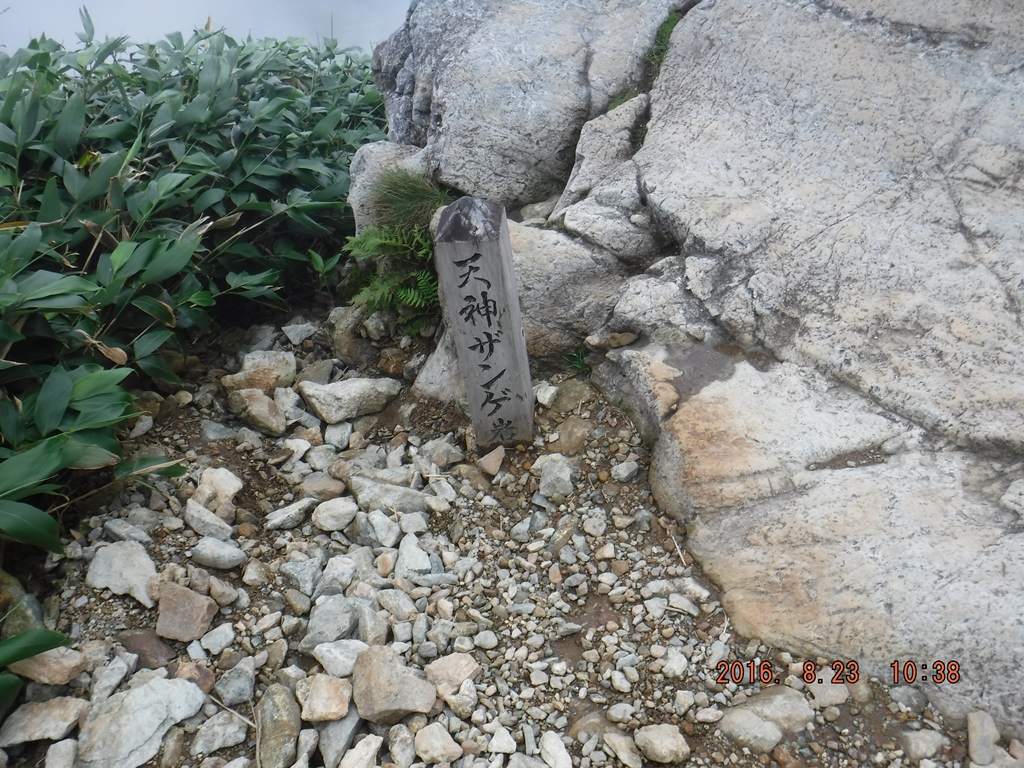 https://www.fco.co.jp/wp/wp-content/uploads/mt/president/blog_images/DSCF0251.JPG