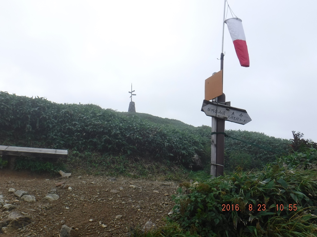 https://www.fco.co.jp/wp/wp-content/uploads/mt/president/blog_images/DSCF0258.JPG