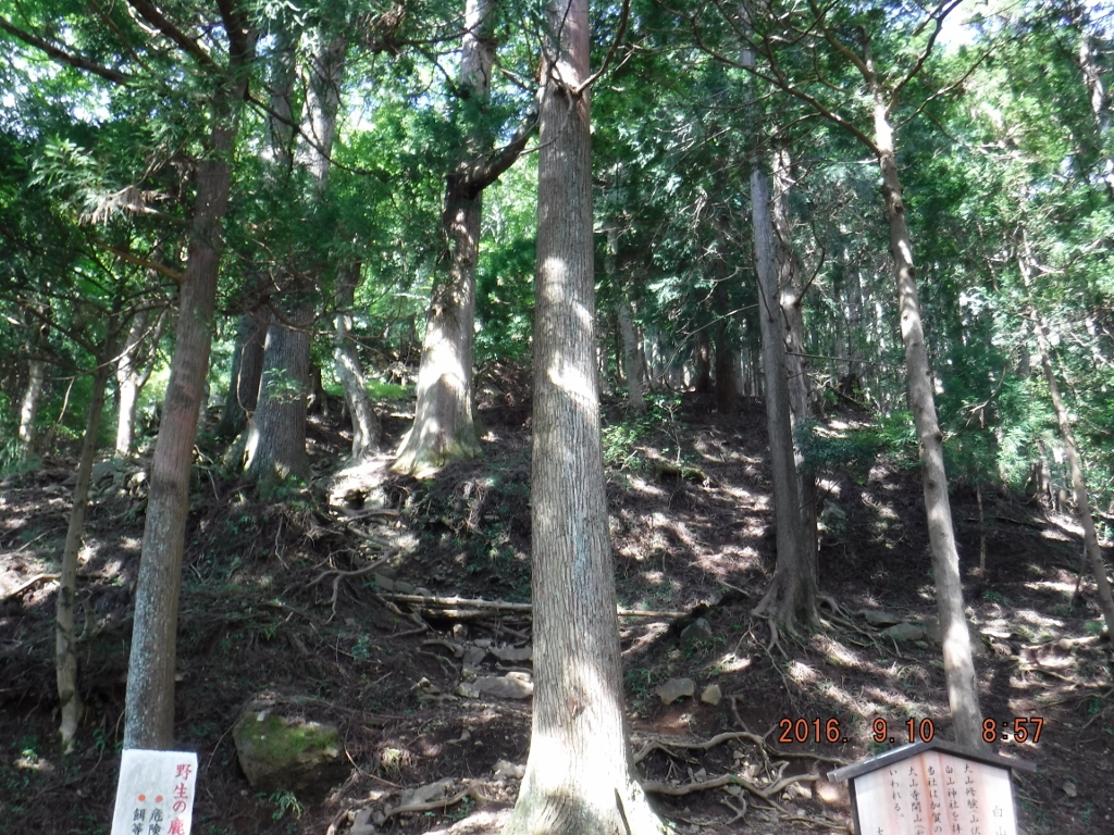 https://www.fco.co.jp/wp/wp-content/uploads/mt/president/blog_images/DSCF0332%20%281024x768%29.jpg