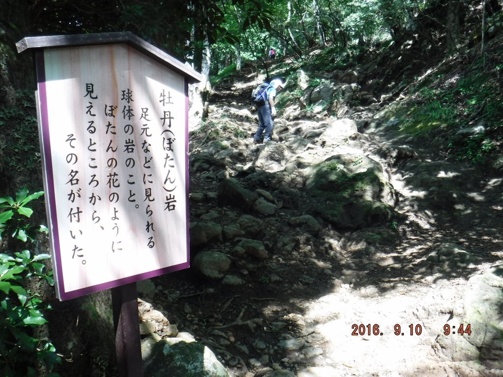 https://www.fco.co.jp/wp/wp-content/uploads/mt/president/blog_images/DSCF0359%20%281024x768%29.jpg
