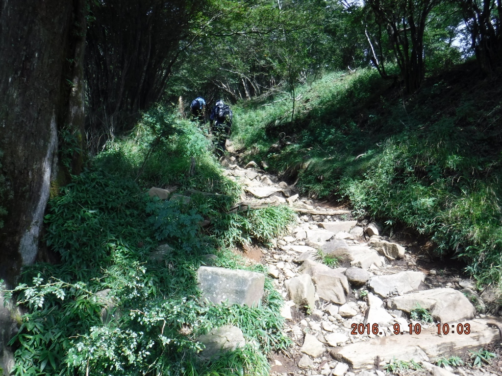 https://www.fco.co.jp/wp/wp-content/uploads/mt/president/blog_images/DSCF0384%20%281024x768%29.jpg