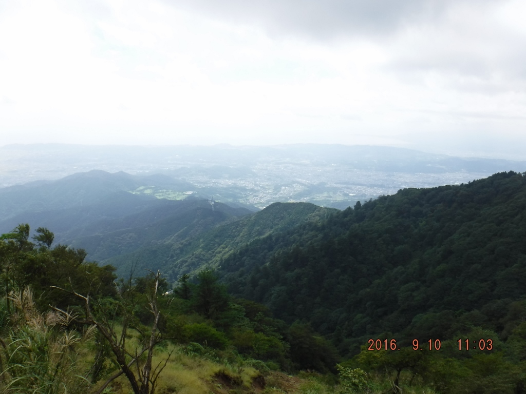 https://www.fco.co.jp/wp/wp-content/uploads/mt/president/blog_images/DSCF0423%20%281024x768%29.jpg