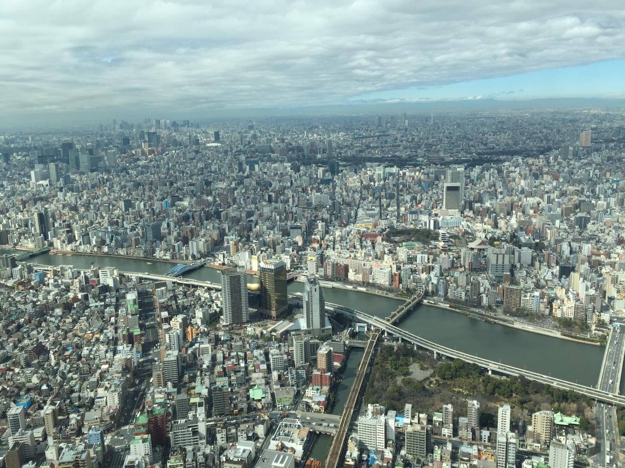 https://www.fco.co.jp/wp/wp-content/uploads/mt/president/blog_images/IMG_0770.JPG