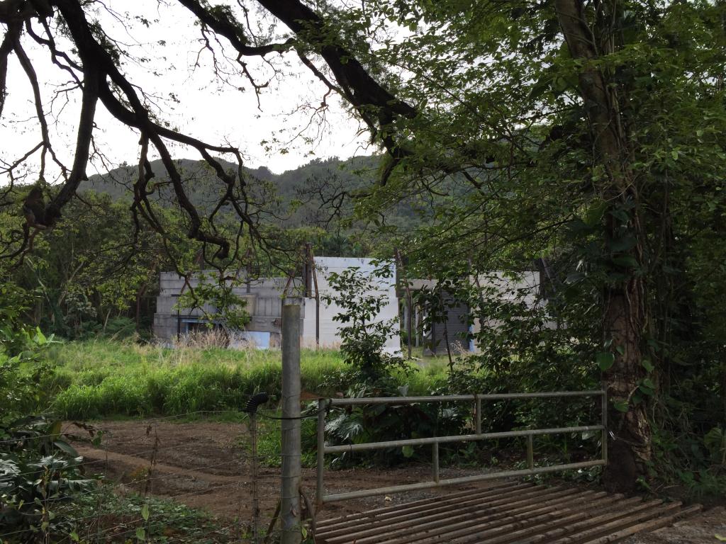 https://www.fco.co.jp/wp/wp-content/uploads/mt/president/blog_images/IMG_1428.JPG
