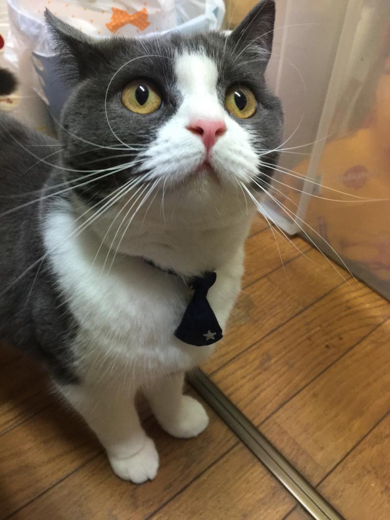 https://www.fco.co.jp/wp/wp-content/uploads/mt/president/blog_images/IMG_1827.JPG