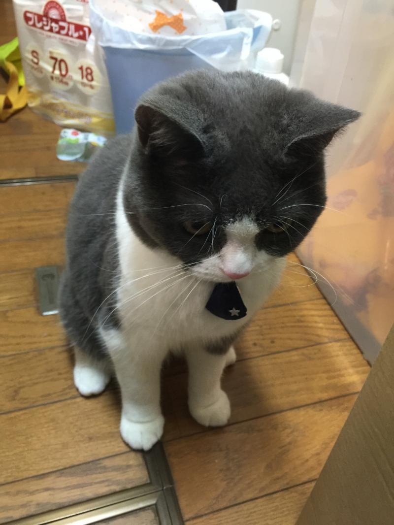 https://www.fco.co.jp/wp/wp-content/uploads/mt/president/blog_images/IMG_1830.JPG